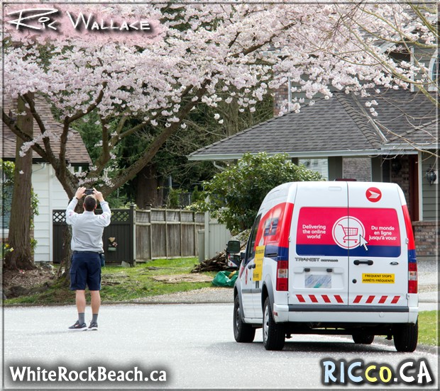 Canada Post Snapping Photos